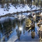 Fly Fishing