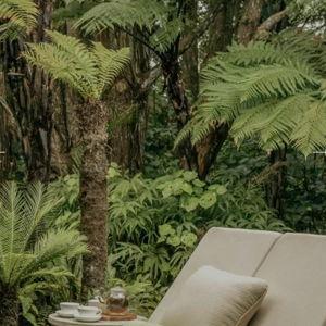 Couples Massage Kauri Cliffs