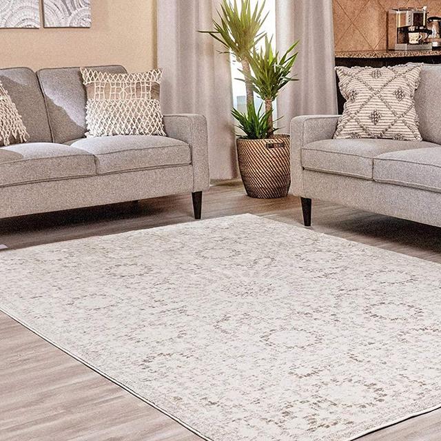 Ophanie Modern Boho Chic Area Rug Carpet, Thick Area Rugs for Living Room, Dining Room, Bedroom, Office, 6' x 9', Beige/Grey