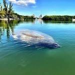 Virginia Key Outdoor Center