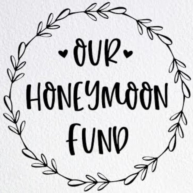 Our Honeymoon Fund w/Venmo option