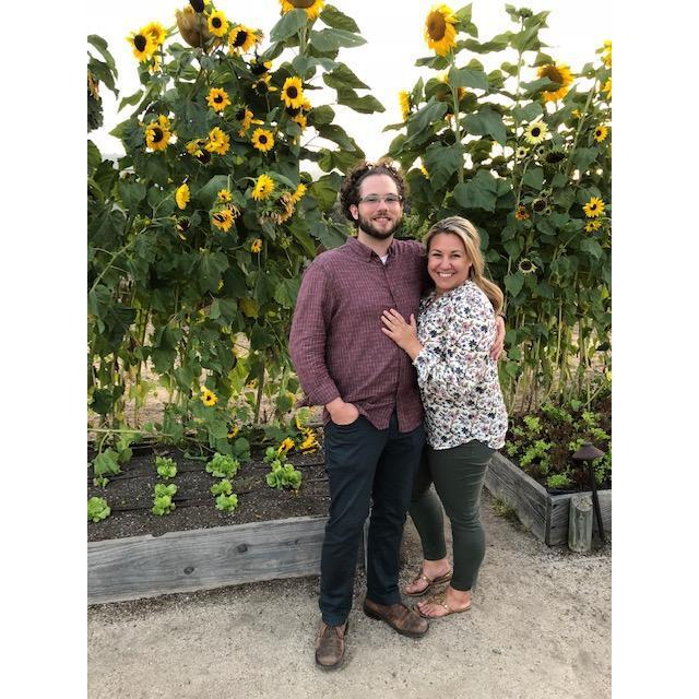 Napa Sunflowers