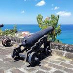 Fort George