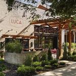 LUCA