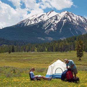 Yellowstone honeymoon trip