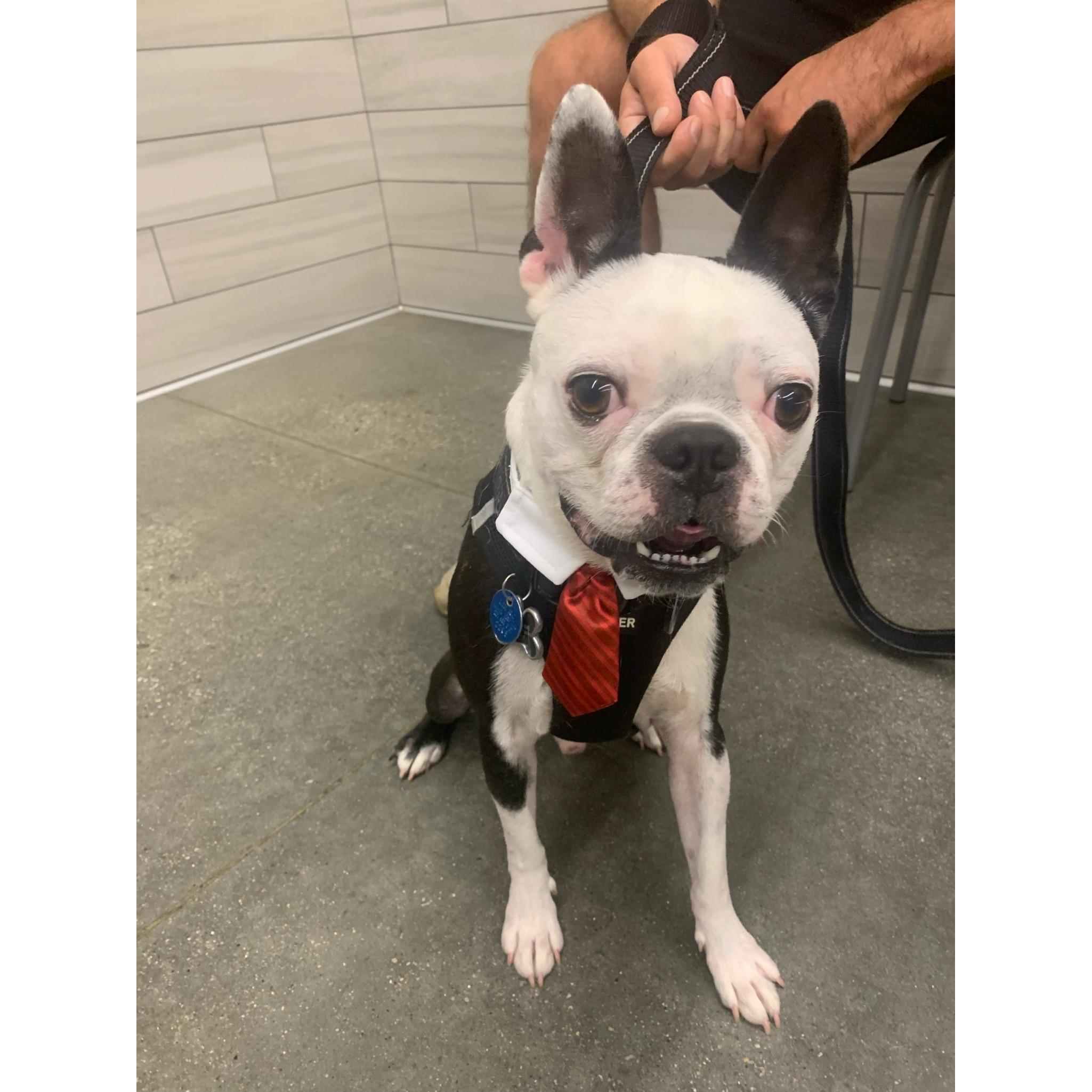Of course, we had to have a photo of Oliver!