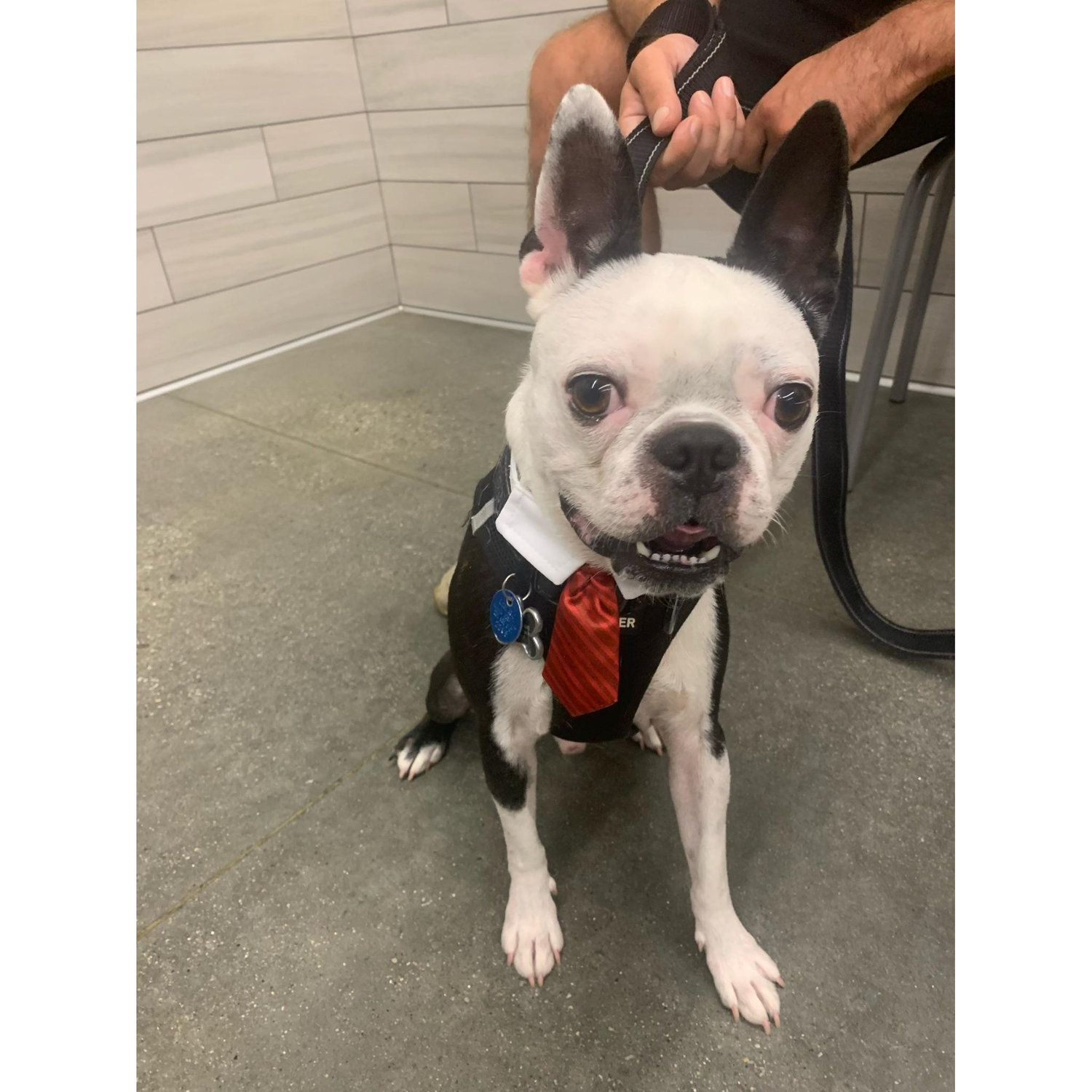 Of course, we had to have a photo of Oliver!