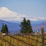 Stave & Stone Winery