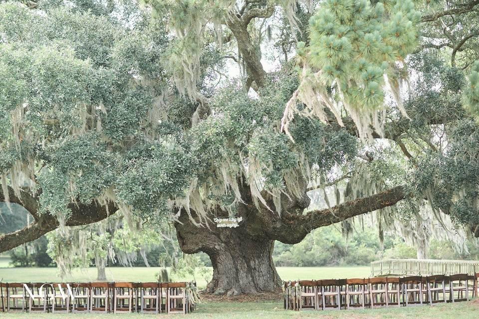 The Wedding Website of Tessa Trail and Bradley Crosby