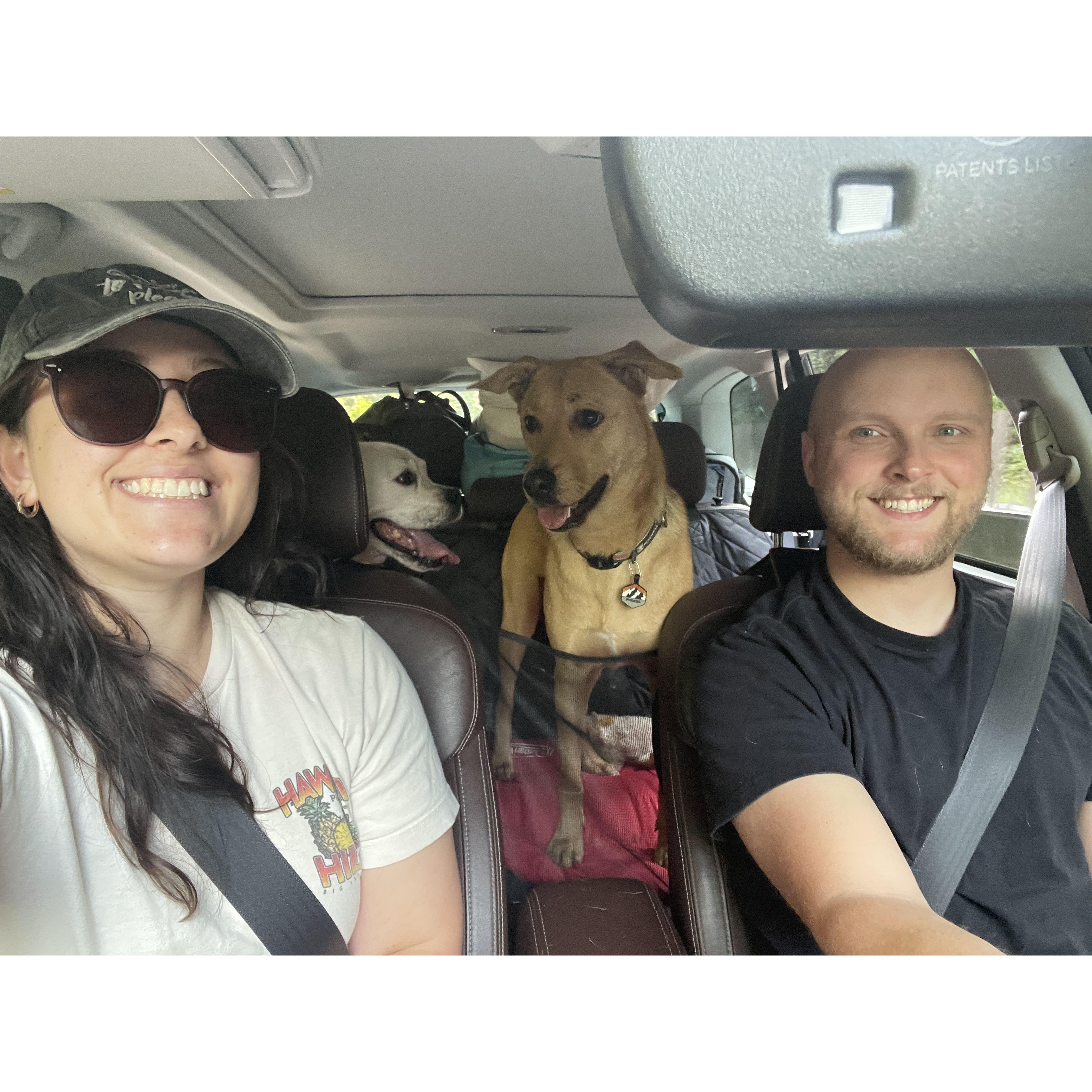 Camping got much better over the years. Taking the pups to Central Washington for an extended weekend camping trip (2024)