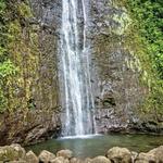 Manoa Falls Trail