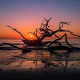 Driftwood Beach
