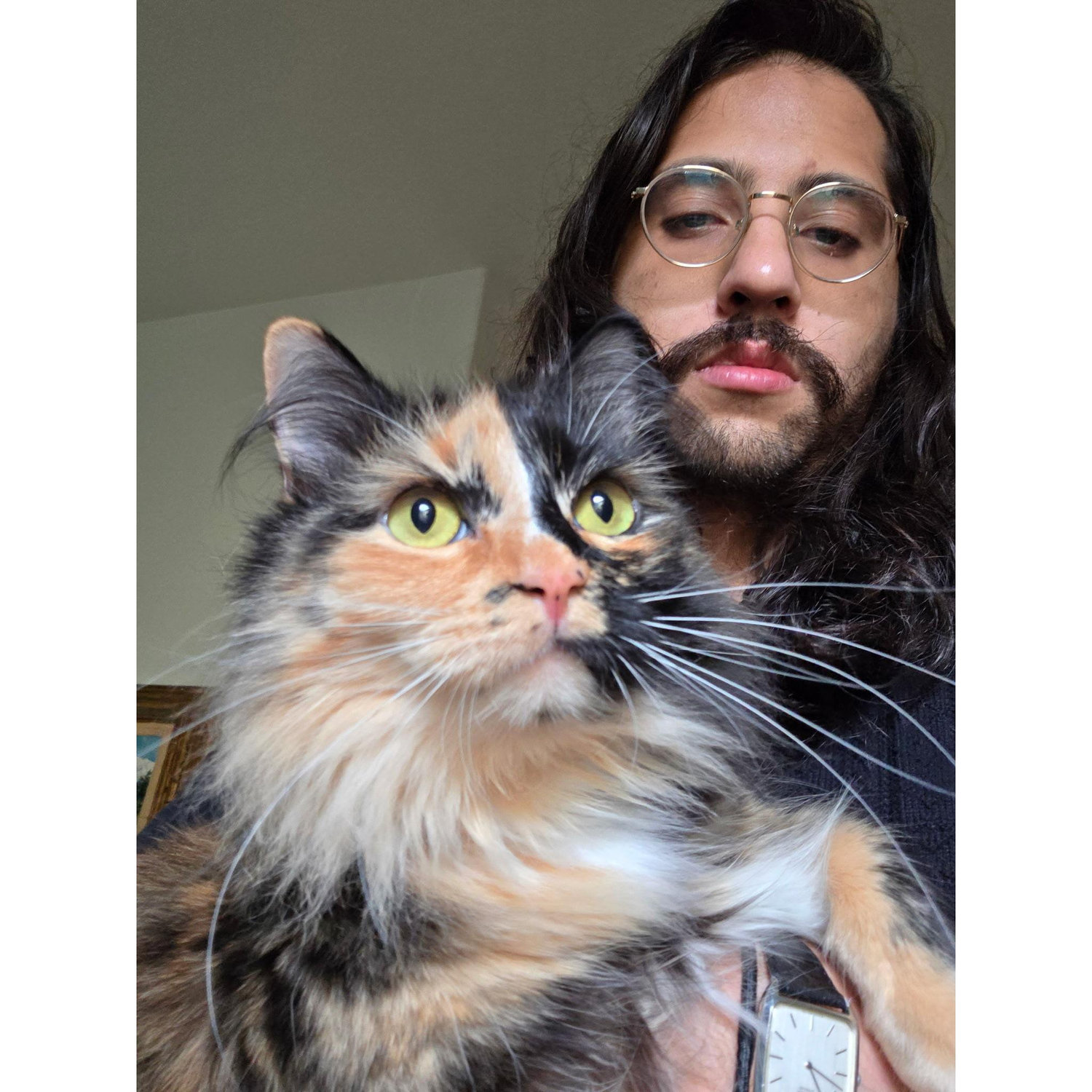 Daniel and Nim