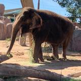 El Paso Zoo and Botanical Gardens