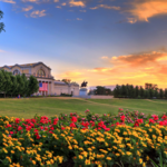 Forest Park