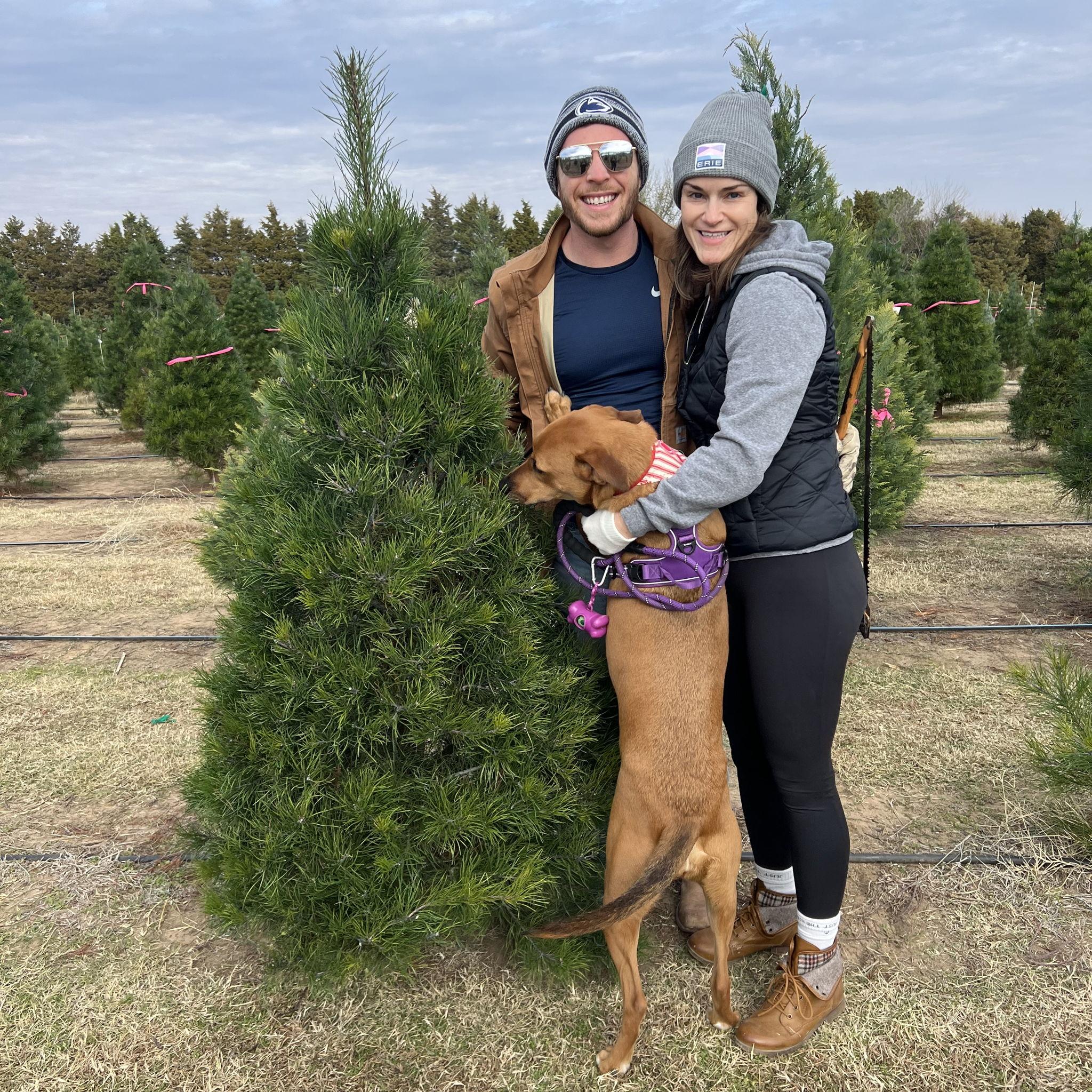 Right before we grew our family with 4 more paws