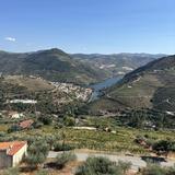 Douro Valley Wine Tours