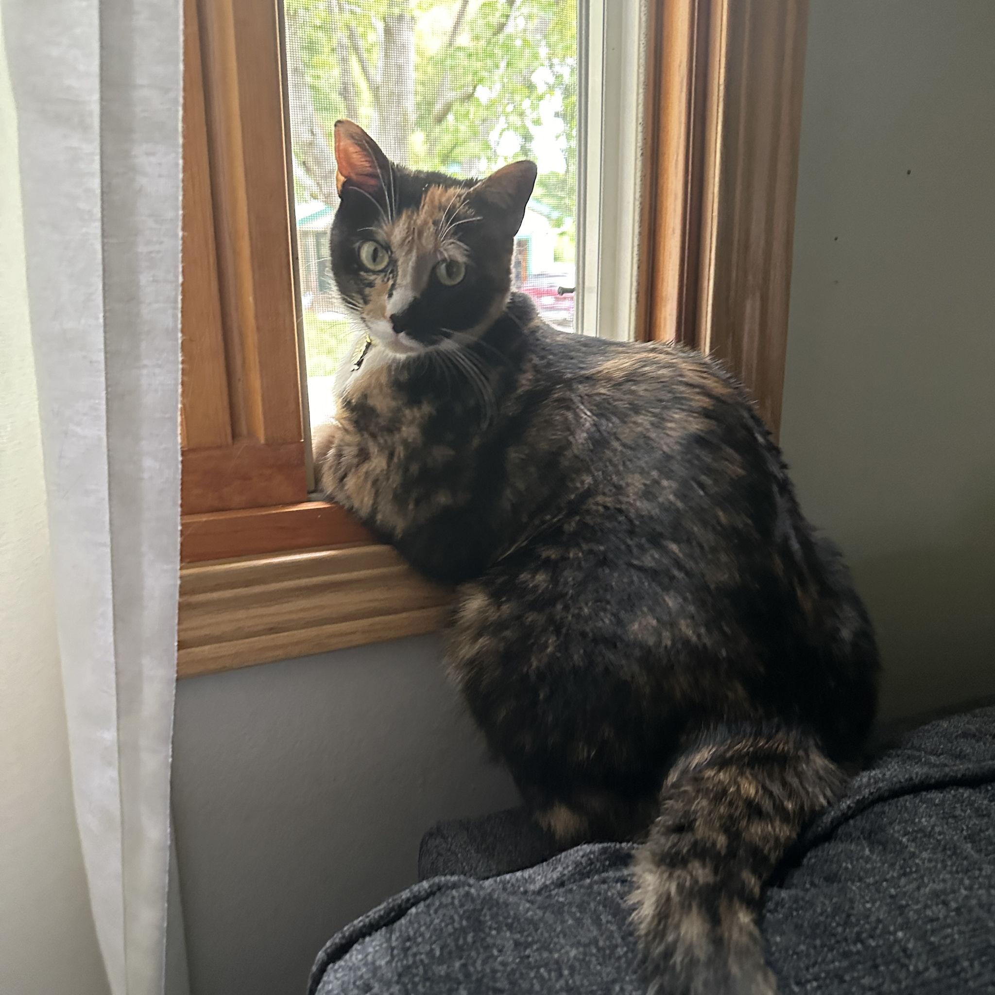 Ophelia: The spicy one