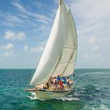 Danger Charters