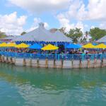Island Gypsy Cafe & Marina Bar