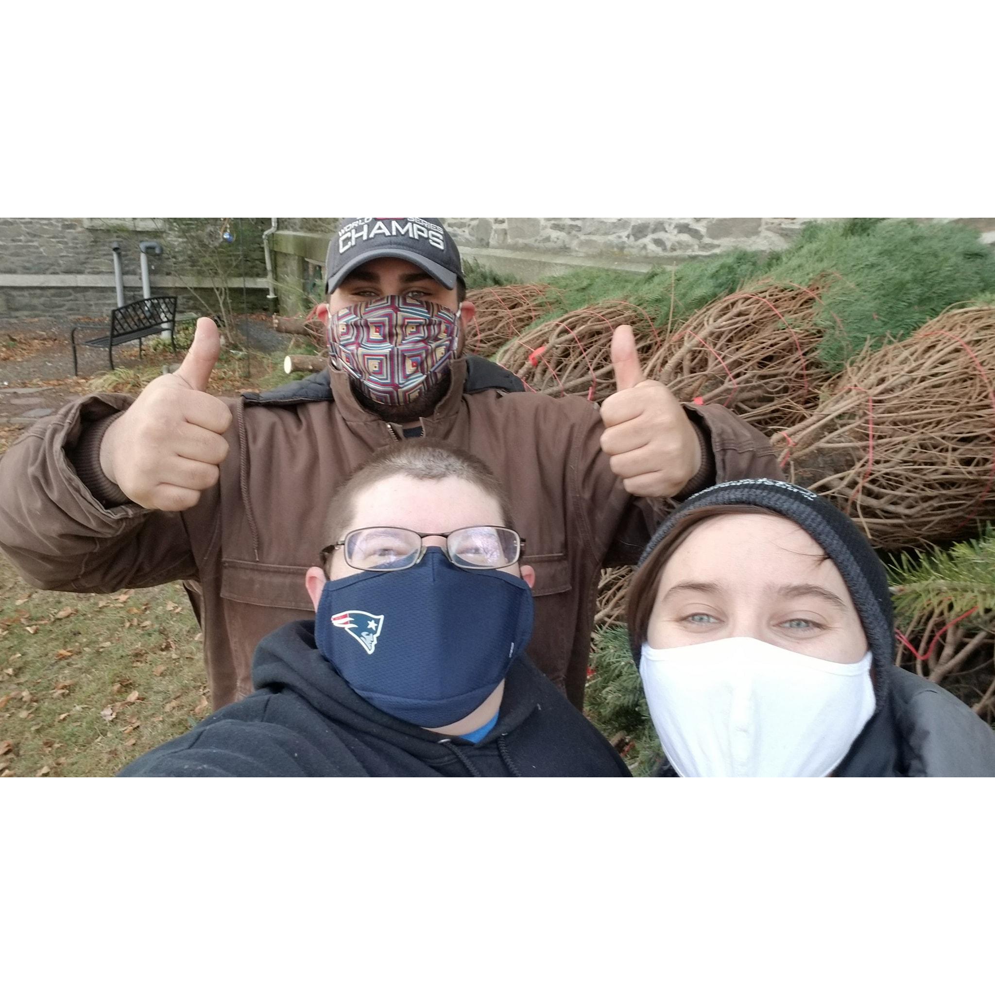 Forest of Lights shenanigans!