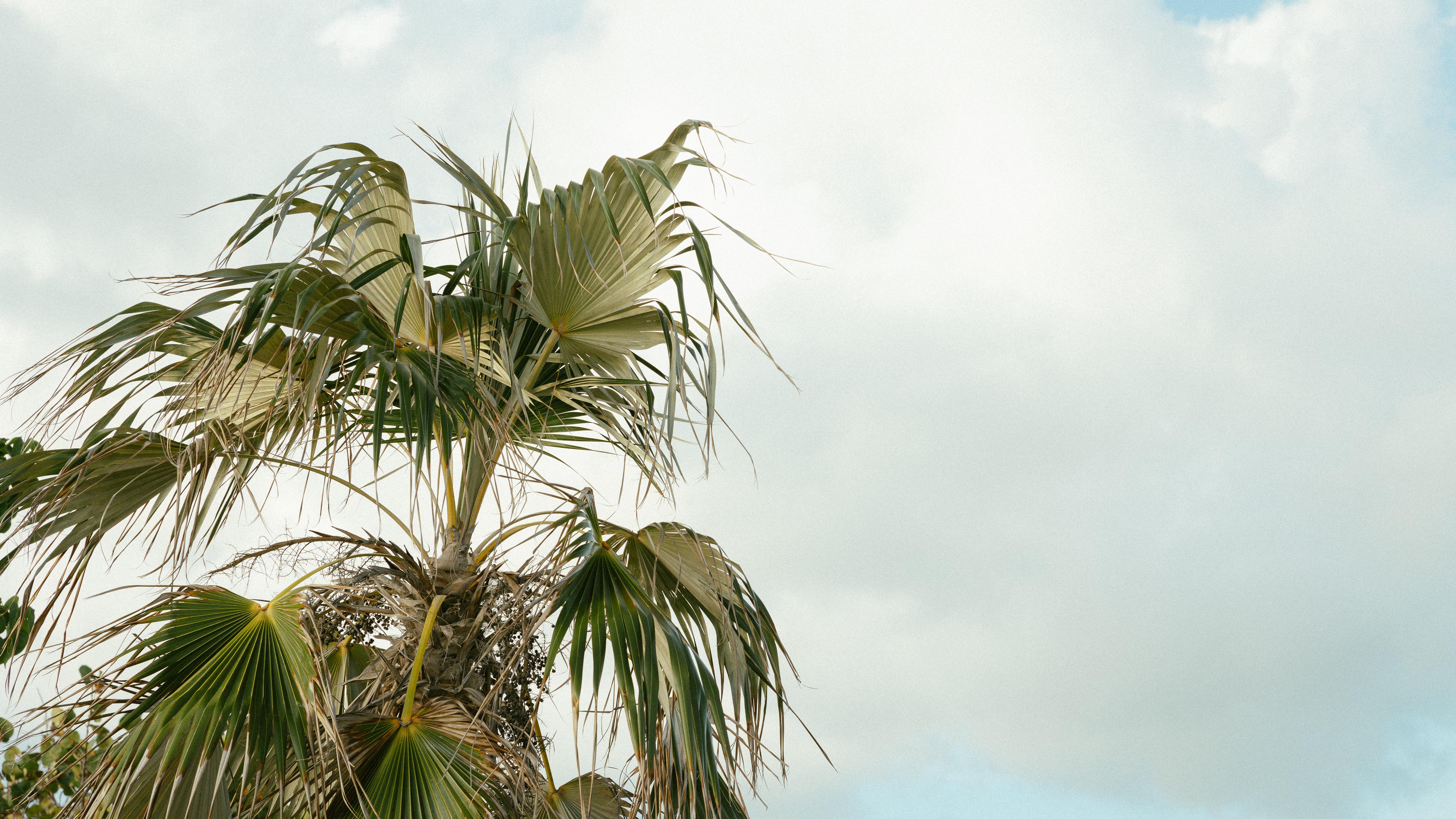 The Wedding Website of Emma Lacy and Logan Smith