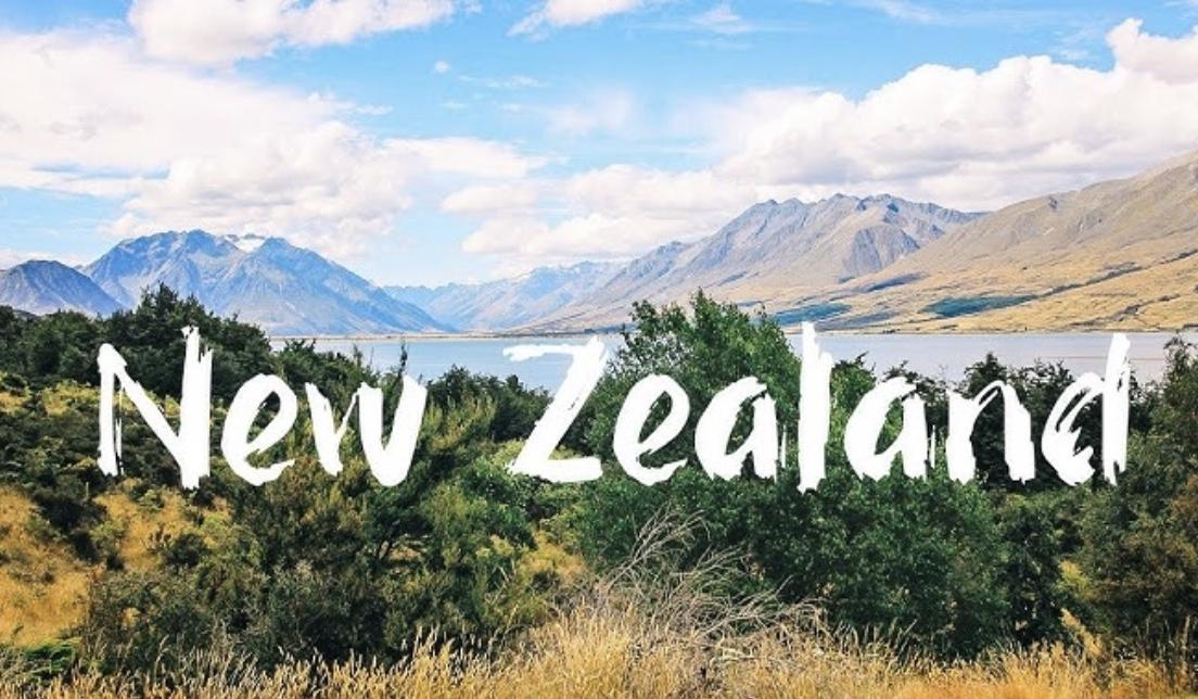 0de02935-1185-4874-a30a-77401780c5d0