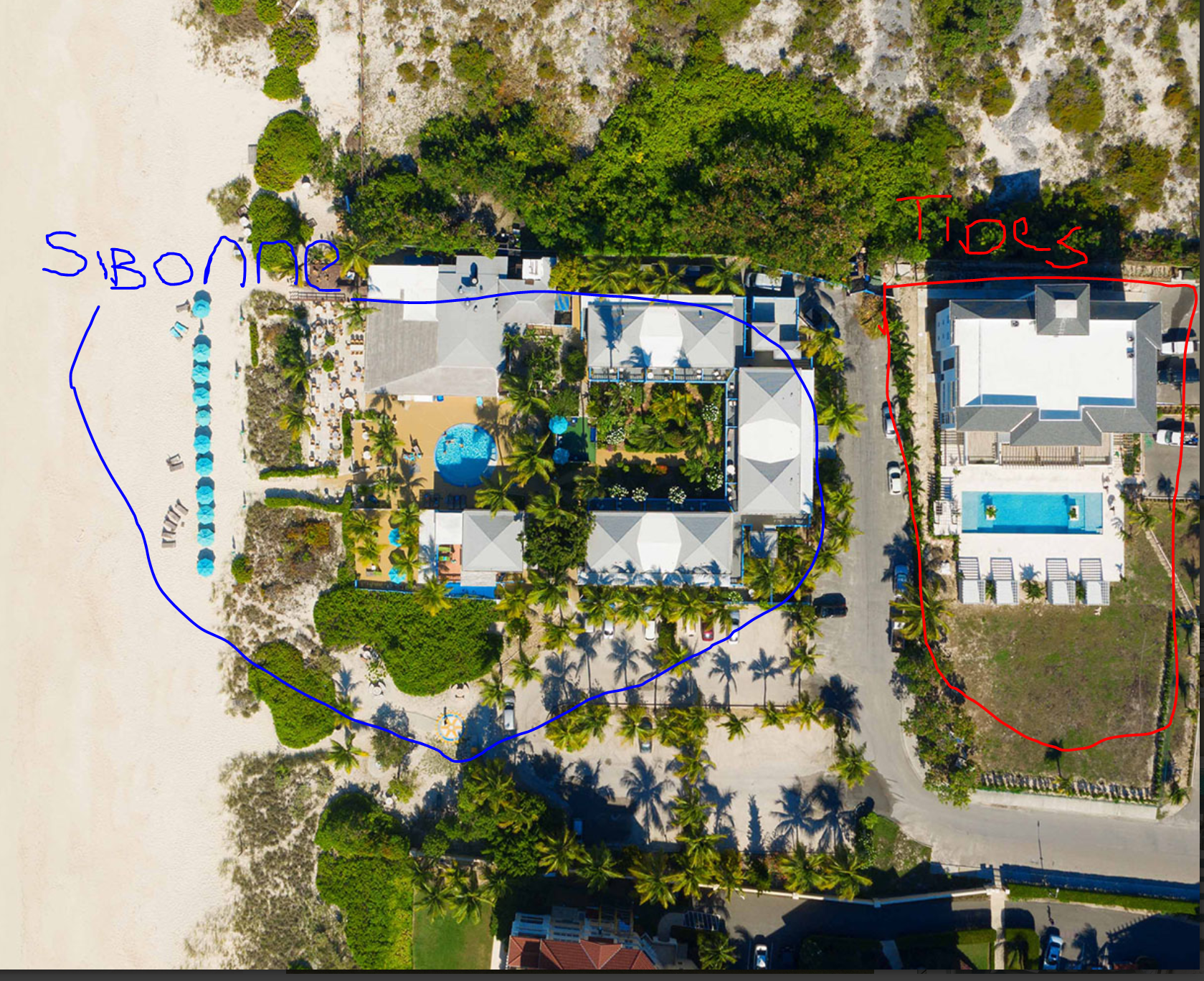 The Wedding Website of Debra Lin and Robert Albenda