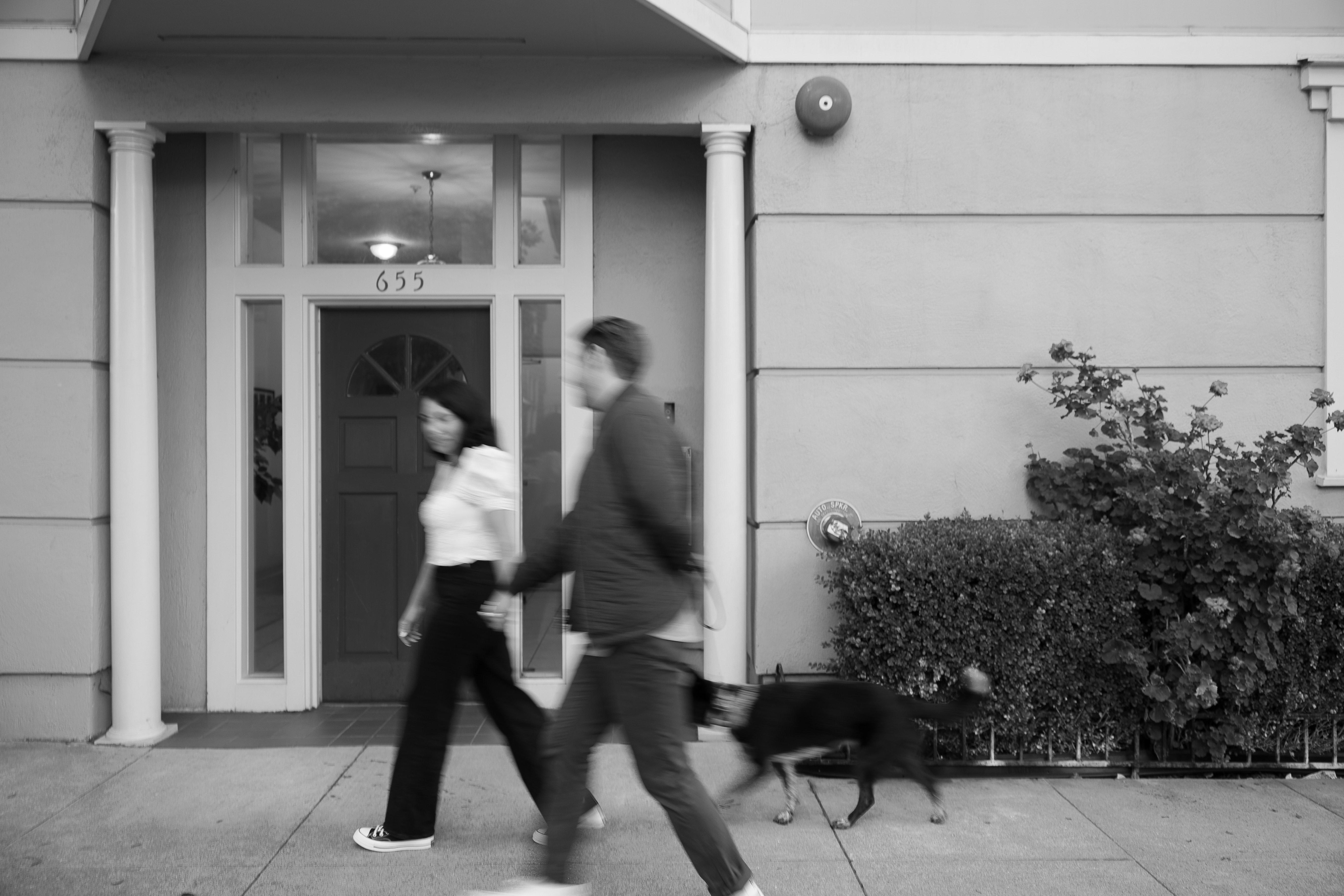 The Wedding Website of Taylor Bibbey and Max Blaha