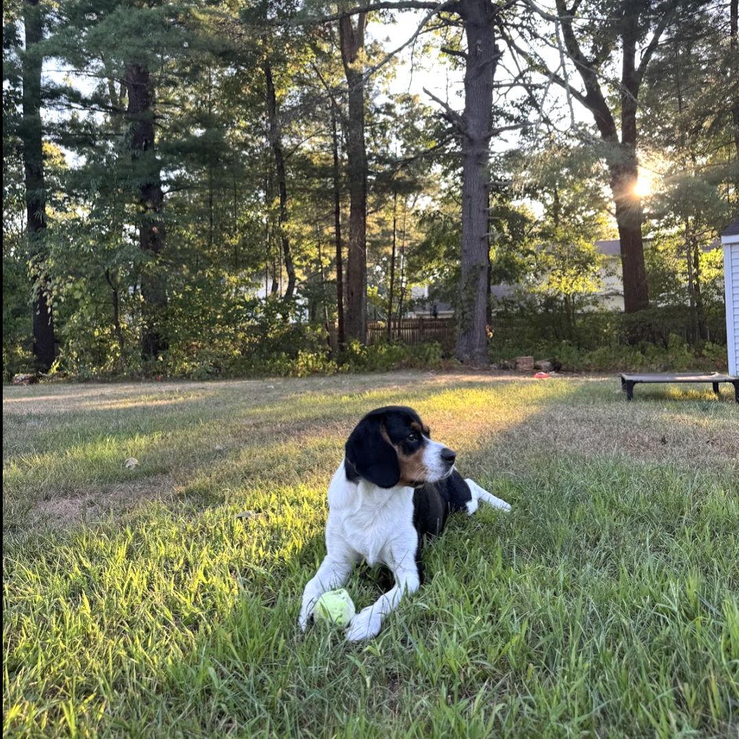 And Mila is loving her first backyard!