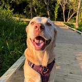 Conestee Nature Preserve