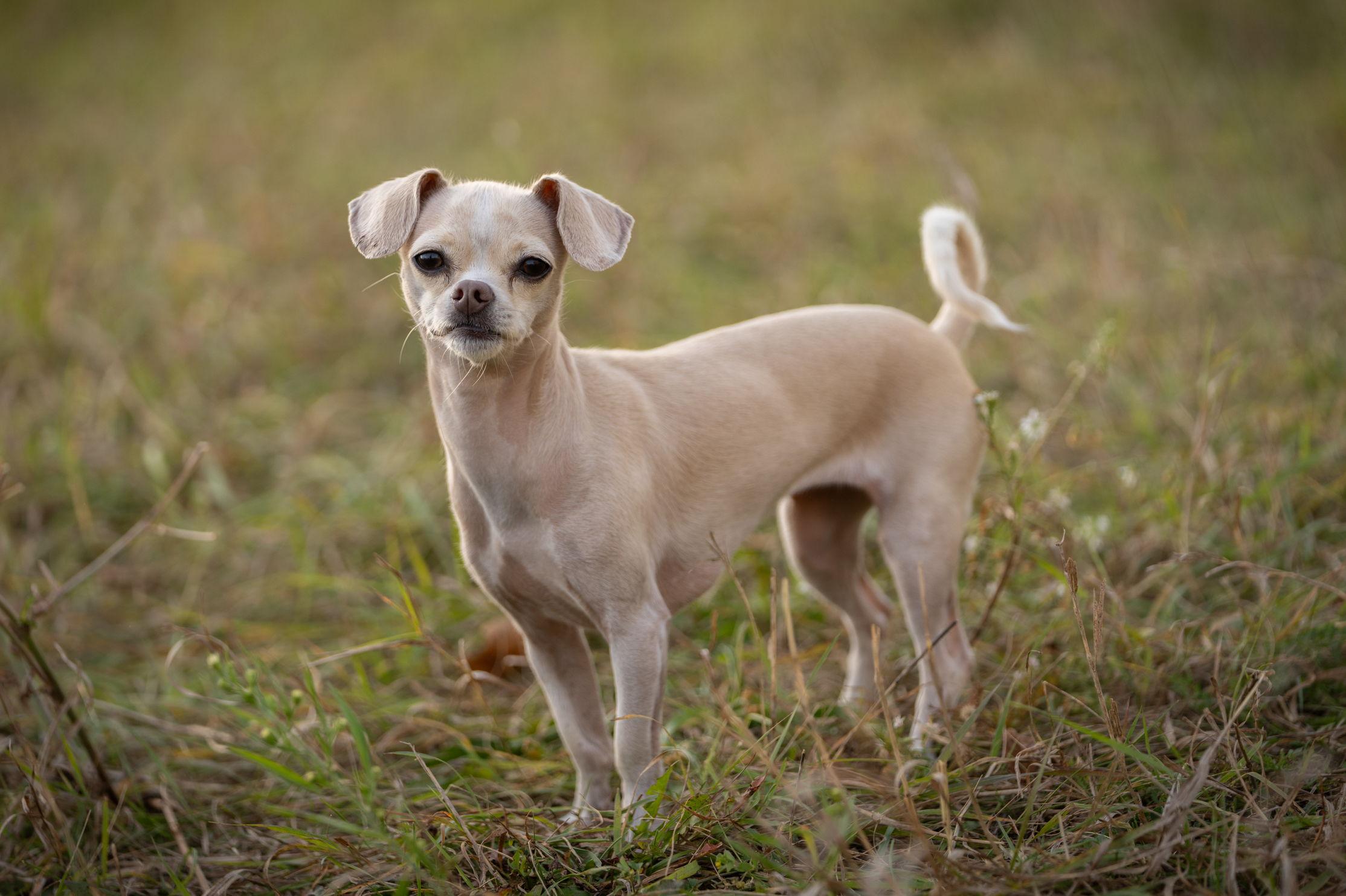 The Wedding Website of Francine Cook and Brian Craig