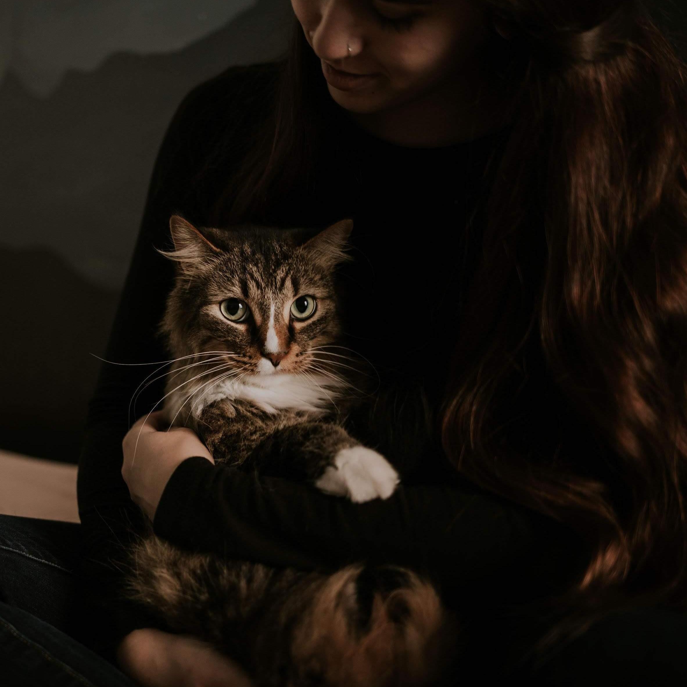 Jasper