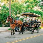 Carriage Tours