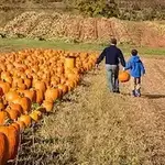 Norz Hill Farm & Market, LLC