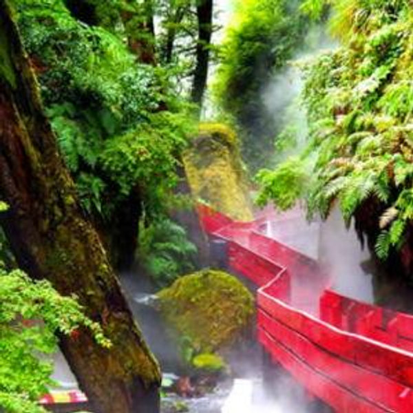 Patagonia Hot Springs Tour
