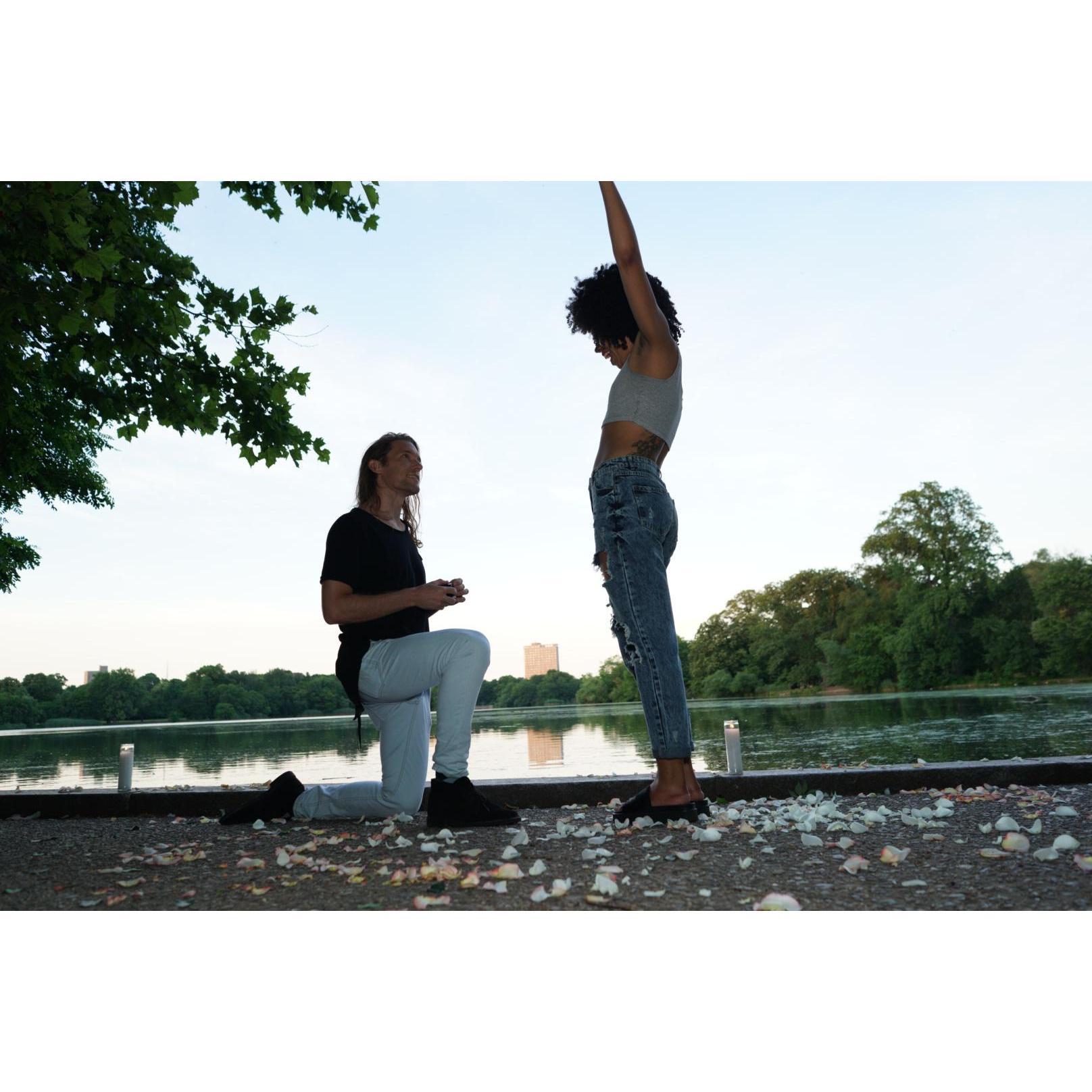 The Proposal

June 2017