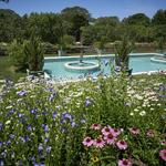 Planting Fields Arboretum State Historic Park