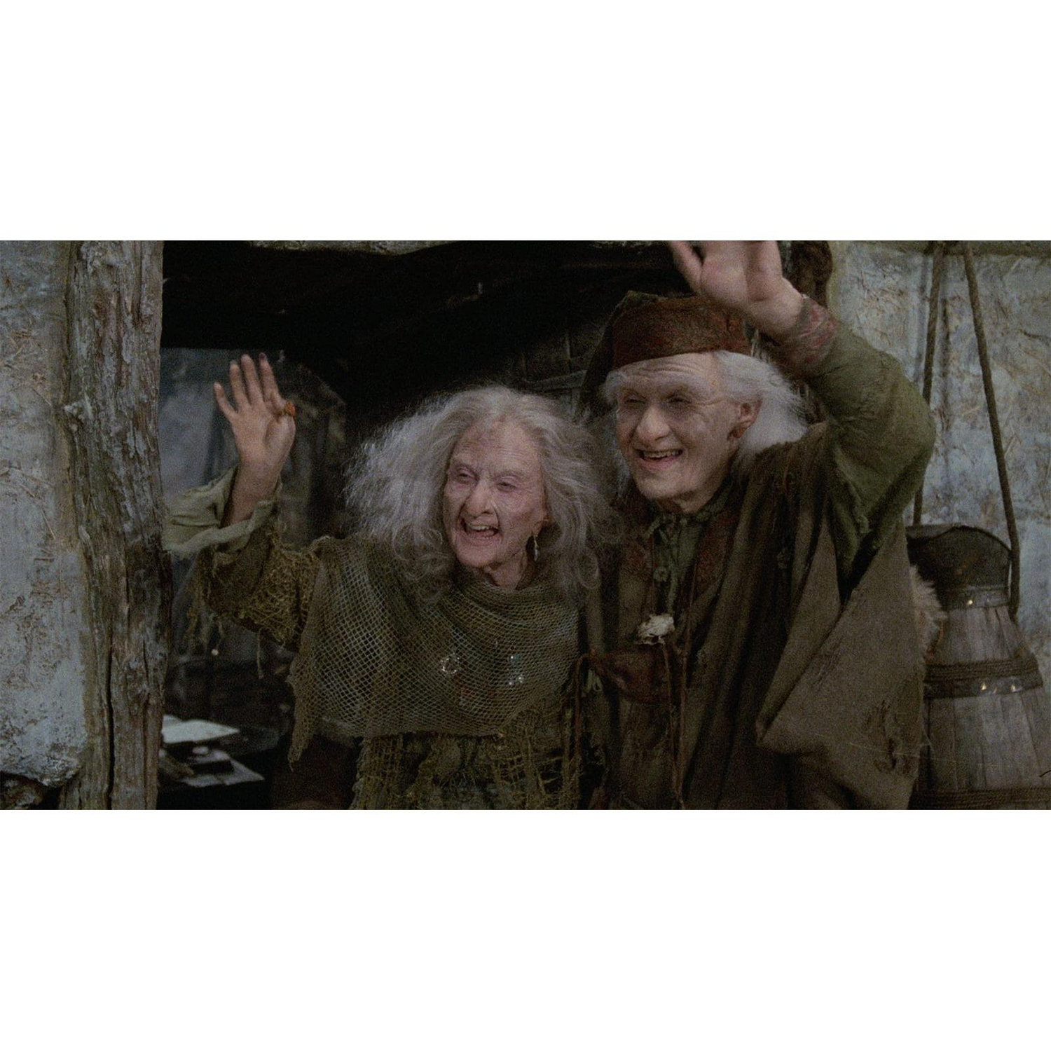 Miracle Max and Valerie from The Princess Bride.