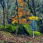 Whispering Cave Disc Golf Course
