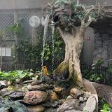 Butterfly House & Aquarium