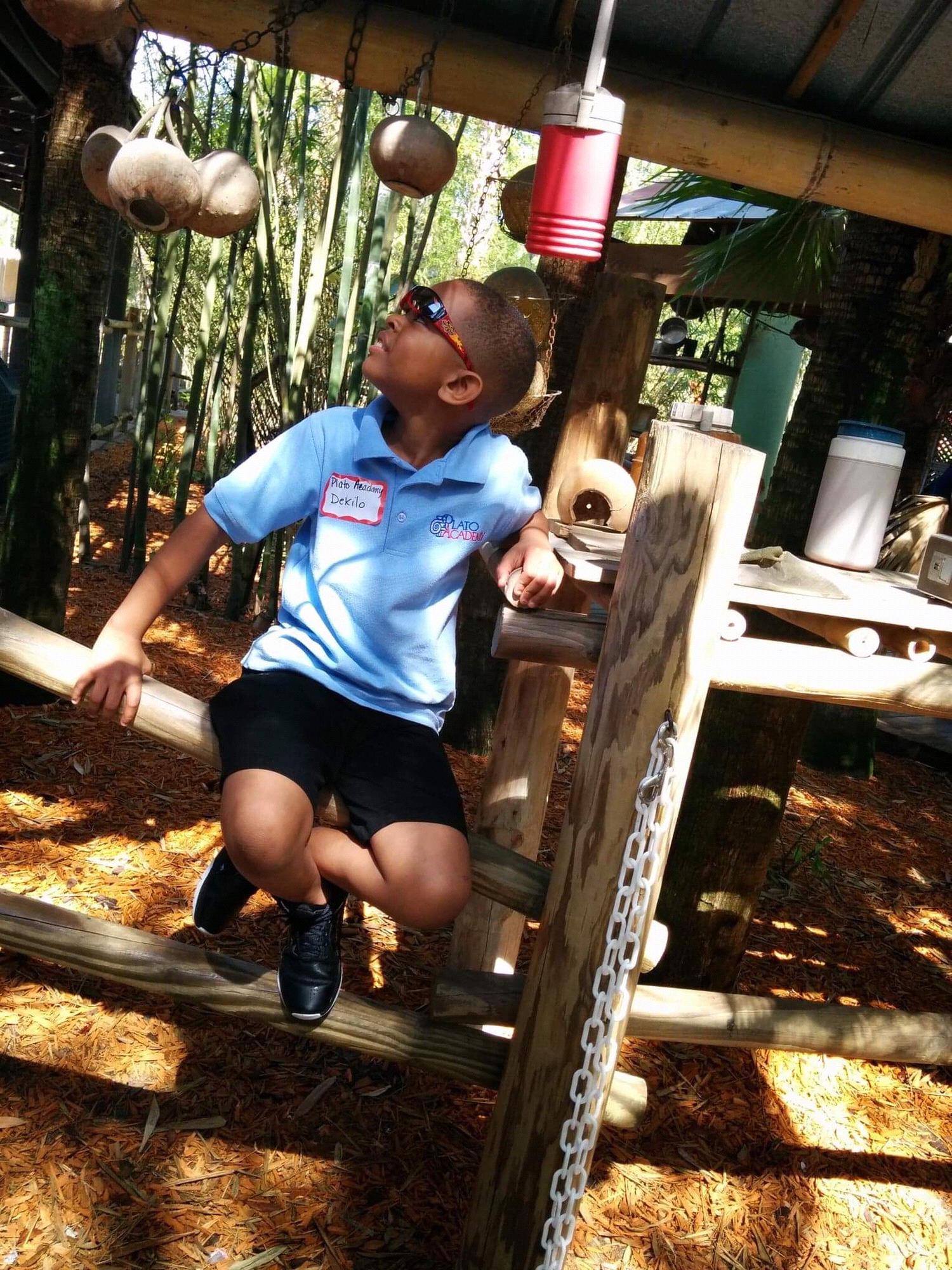 Lions, Tigers, & Bears, Oh My!: Mr Dekilo hanging out at Lowry Park Zoo on a school field trip. Photo cred: Mommy.
