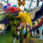 Bellagio Conservatory & Botanical Gardens