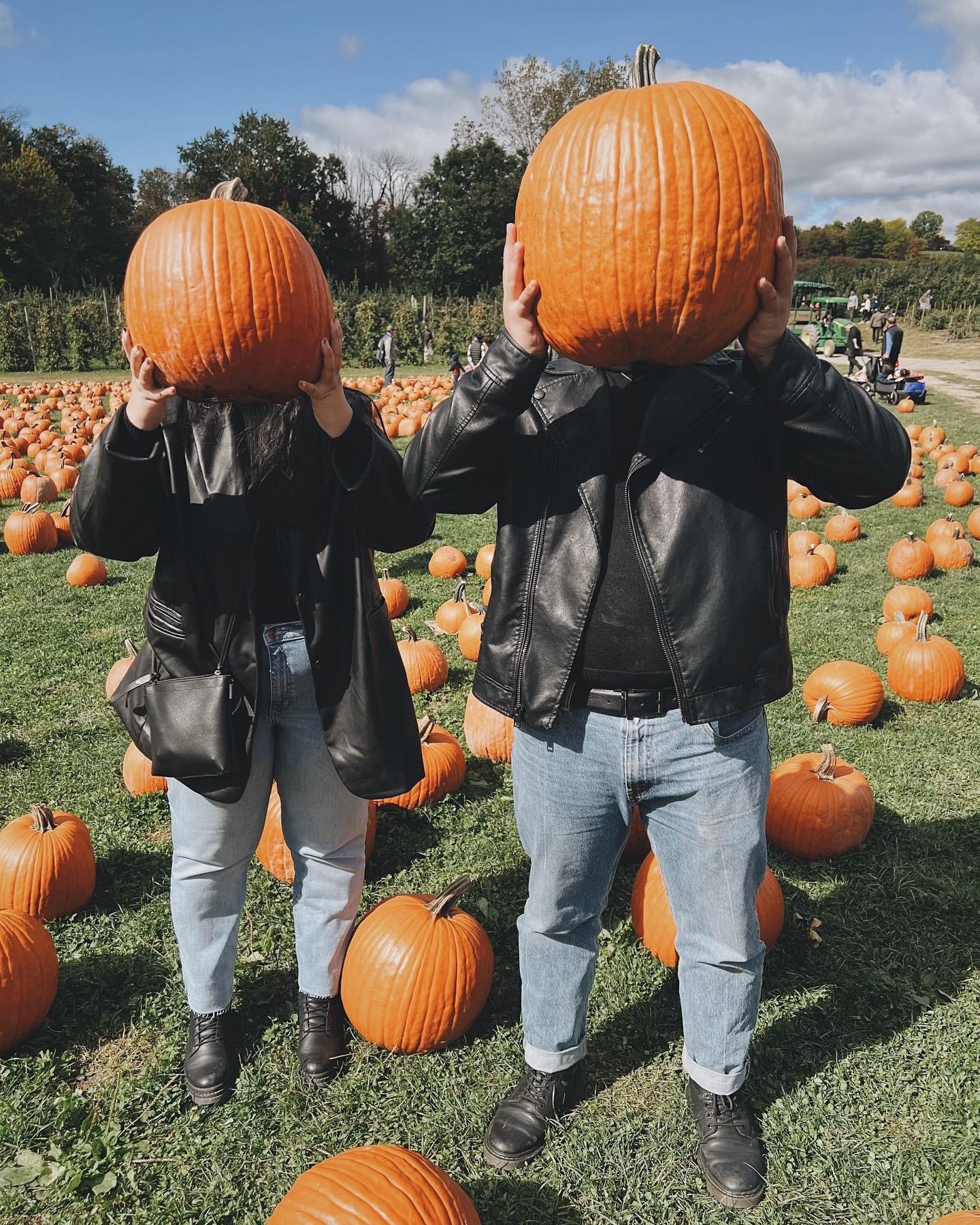 Pumpkin patch 2022