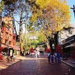 Zona T Bogotá