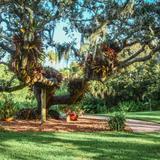 Marie Selby Botanical Gardens Downtown Sarasota