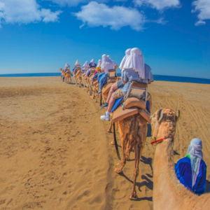 Camel Ride in the Maspalomas Sand Dunes