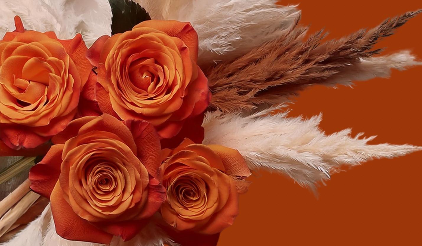The Wedding Website of Angelica Silva and Hector Melendez