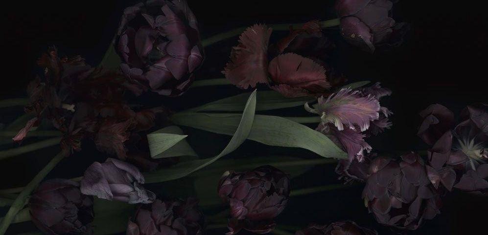 The Wedding Website of Timothy Stasiw and Bjorn Shotwell