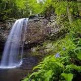 Cloudland Canyon State Park